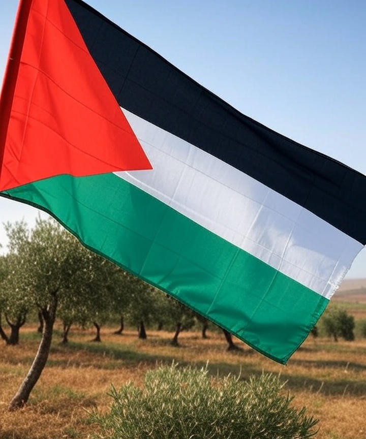 legalingos palestina